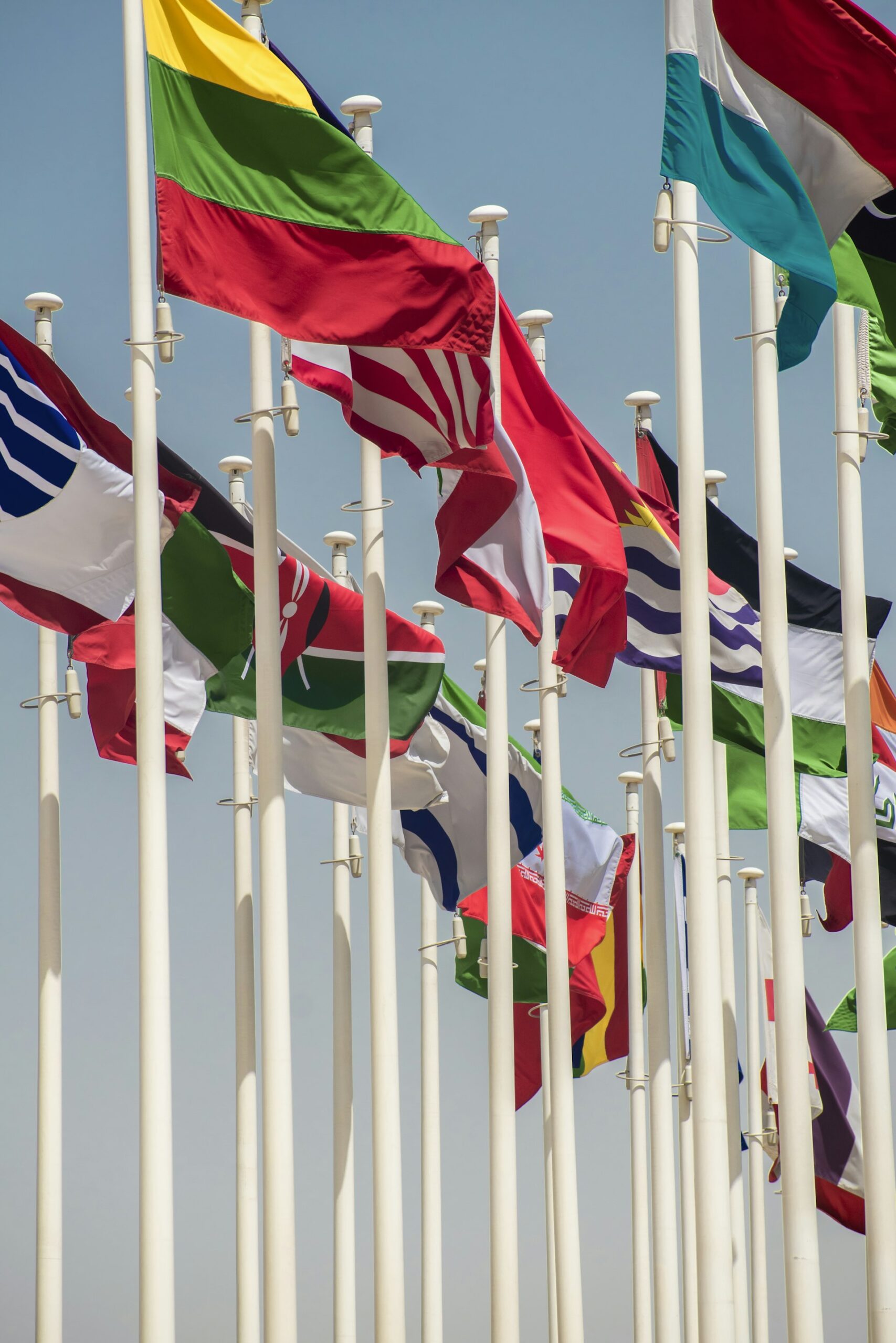 Unlocking Global Opportunities: How Sustainable Finance Frameworks Shape Policy and Investment