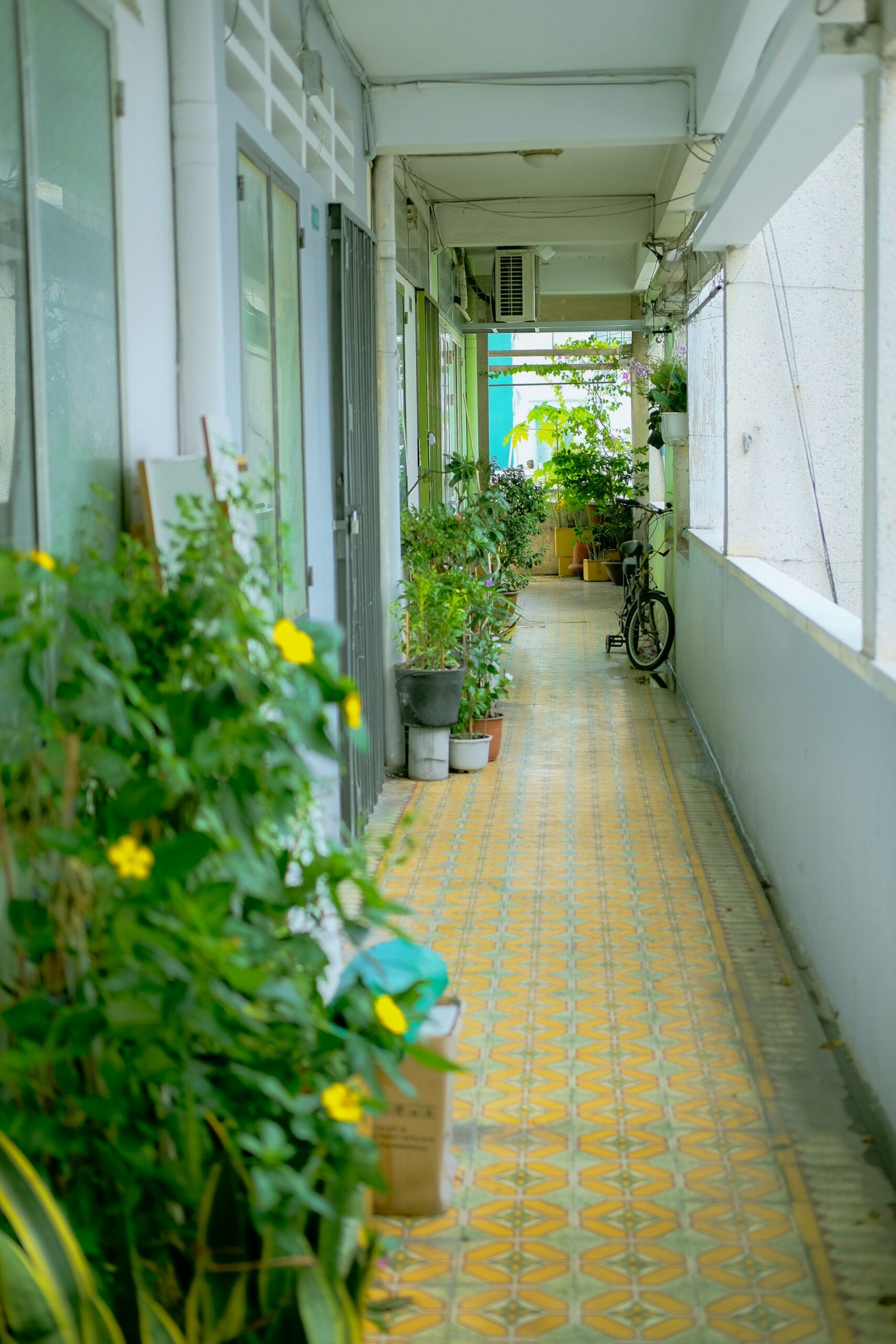 Transforming Urban Living: The Apartment Dweller's Guide to a Thriving Gardening Lifestyle