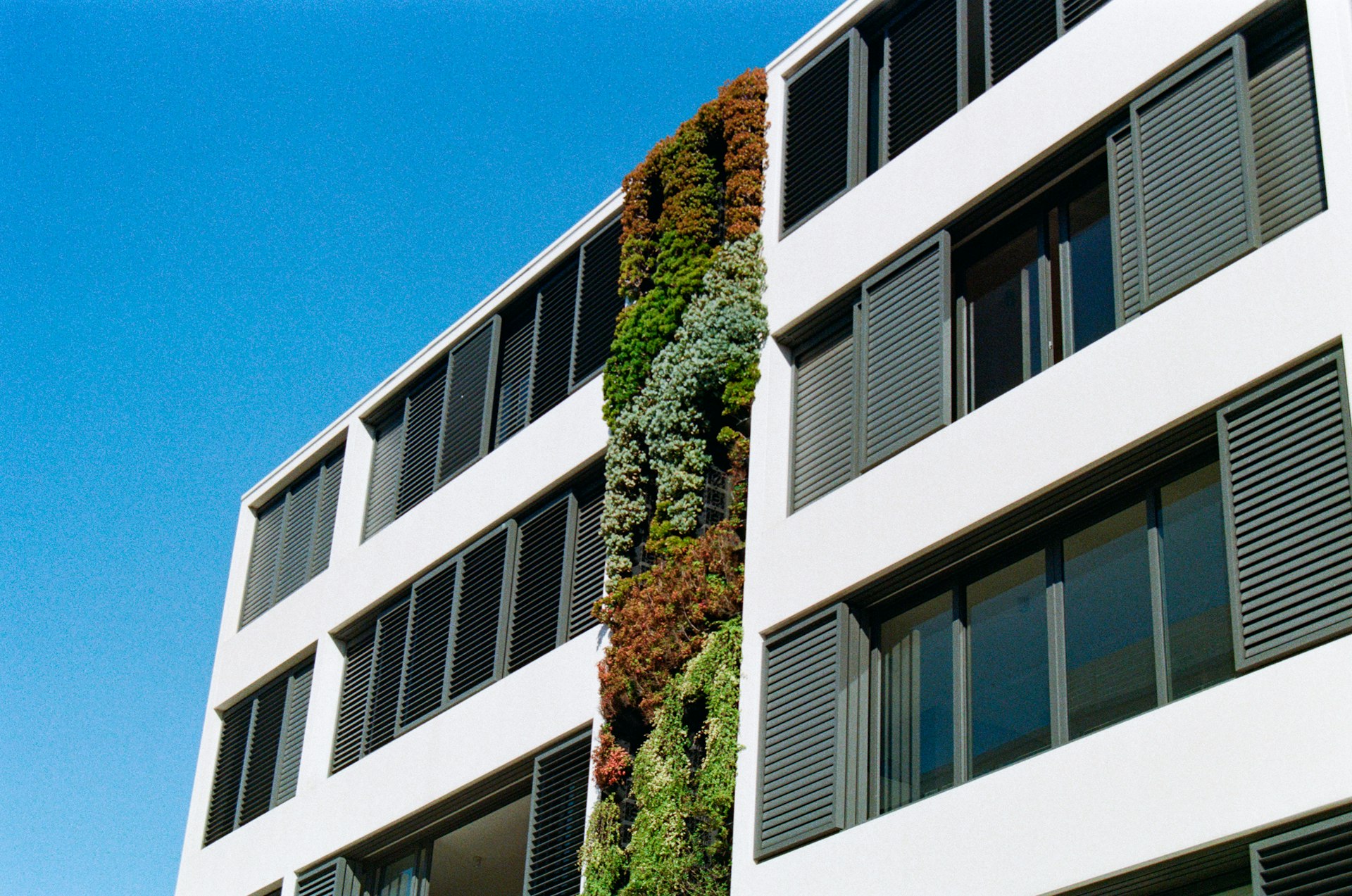 Transforming Real Estate with Sustainability Initiatives: A Comprehensive Guide to Greener Properties