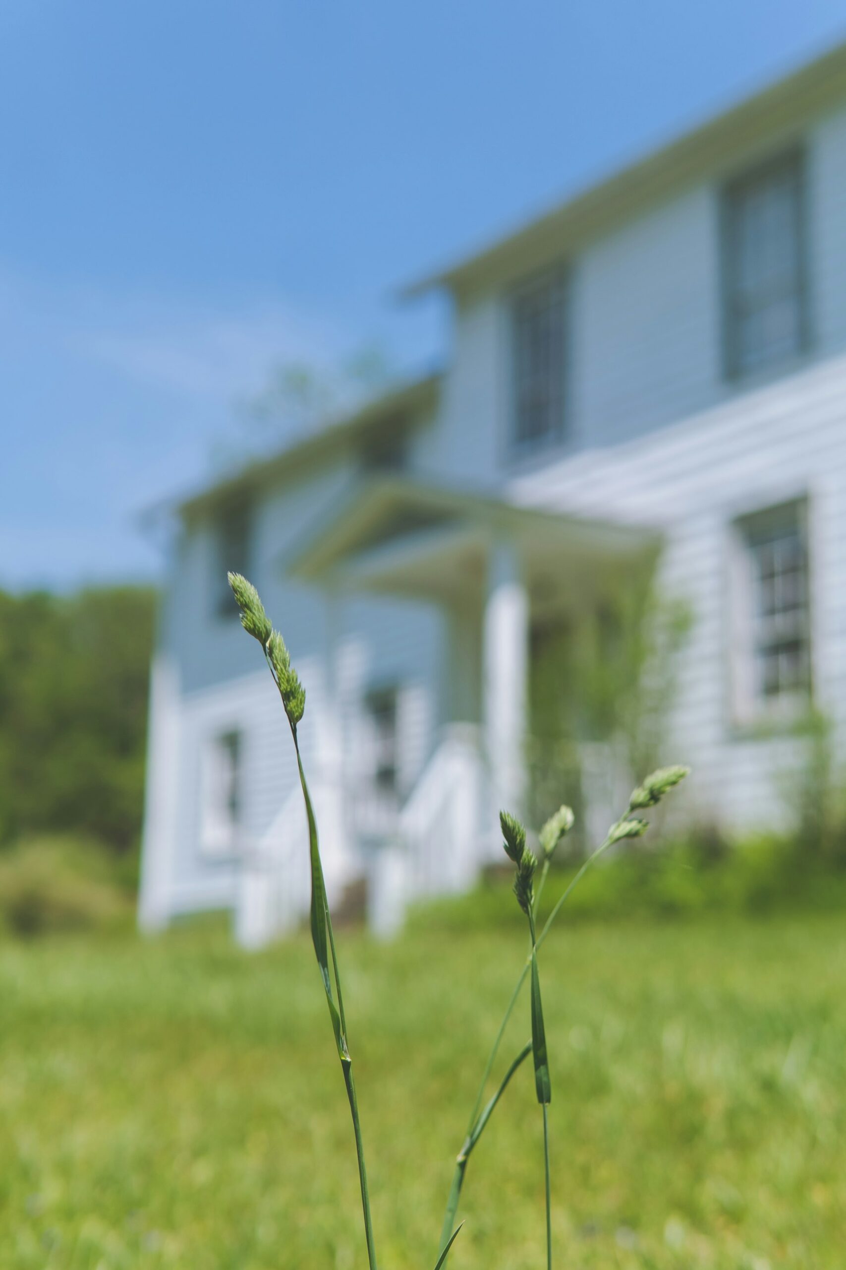 Proven Strategies for Effective Real Estate Lead Nurturing